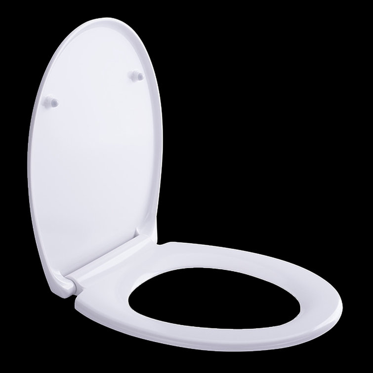 Belfry Bathroom Istres Soft Close Round Standard Toilet Seat Wayfair